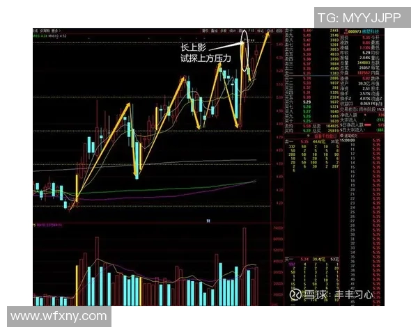 南京羽毛球队与杭州羽毛球队赛后复盘分析比赛节奏与战术对比