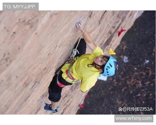 武汉攀岩队表现优异最新攀岩状态TOP10榜单揭晓