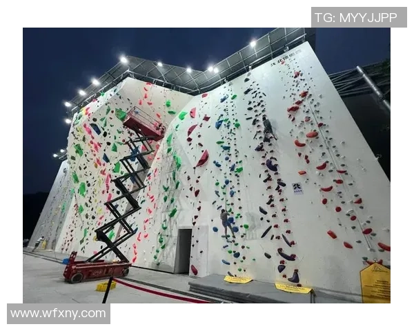 南京攀岩队的阵地战分析与反思攀岩运动的未来发展方向